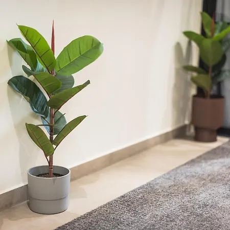 Apartment Filia Place